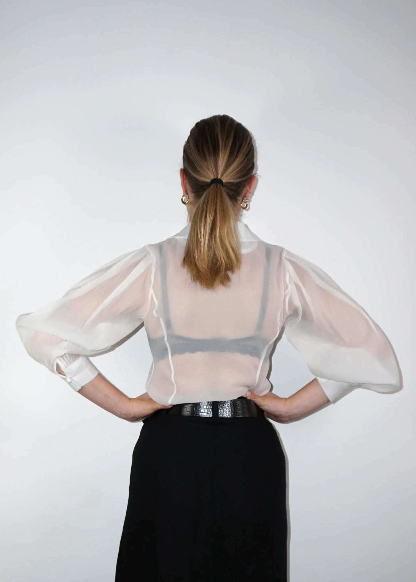 Sheer Structured Blouse with Sculpted Sleeves