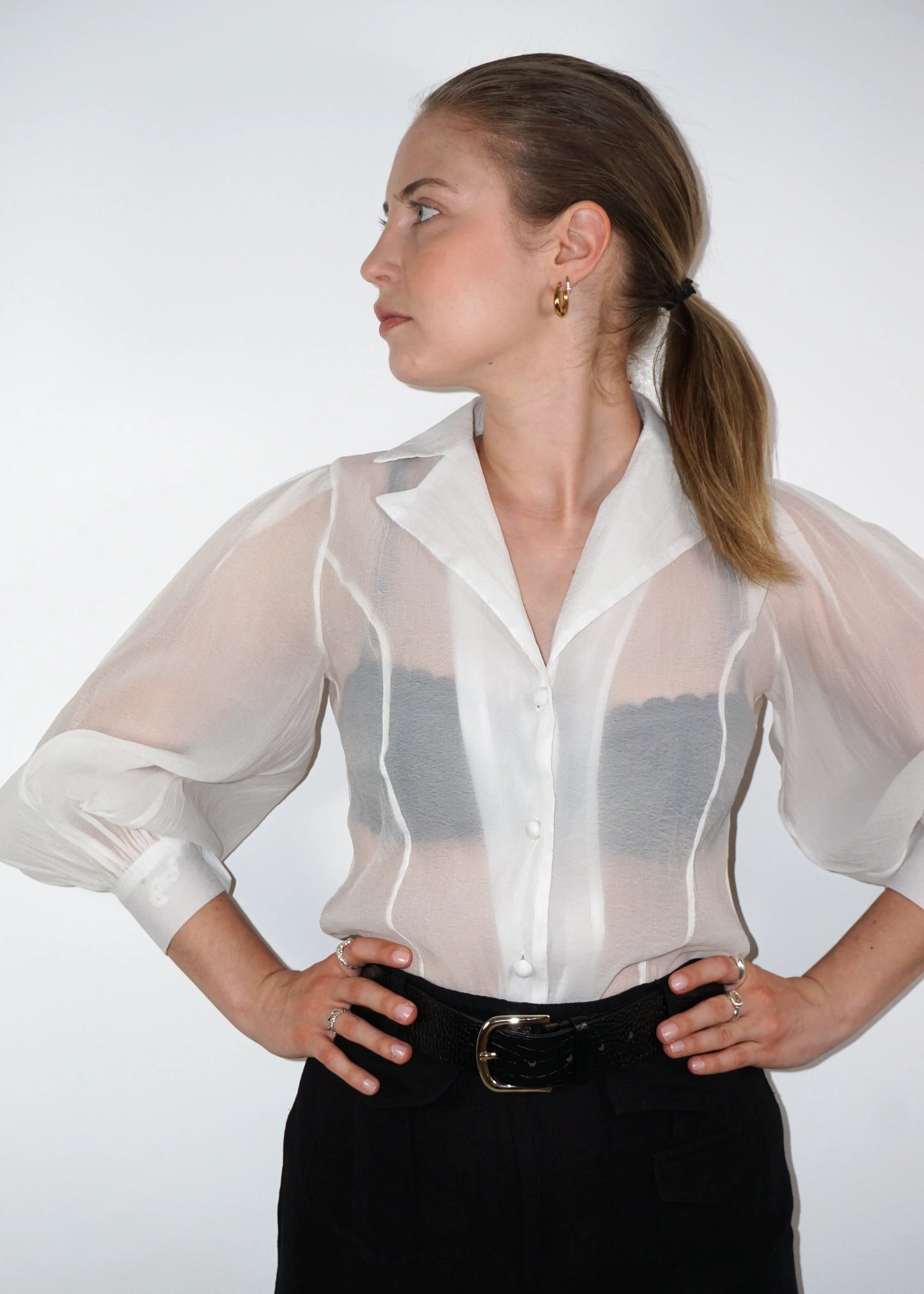Sheer Structured Blouse with Sculpted Sleeves