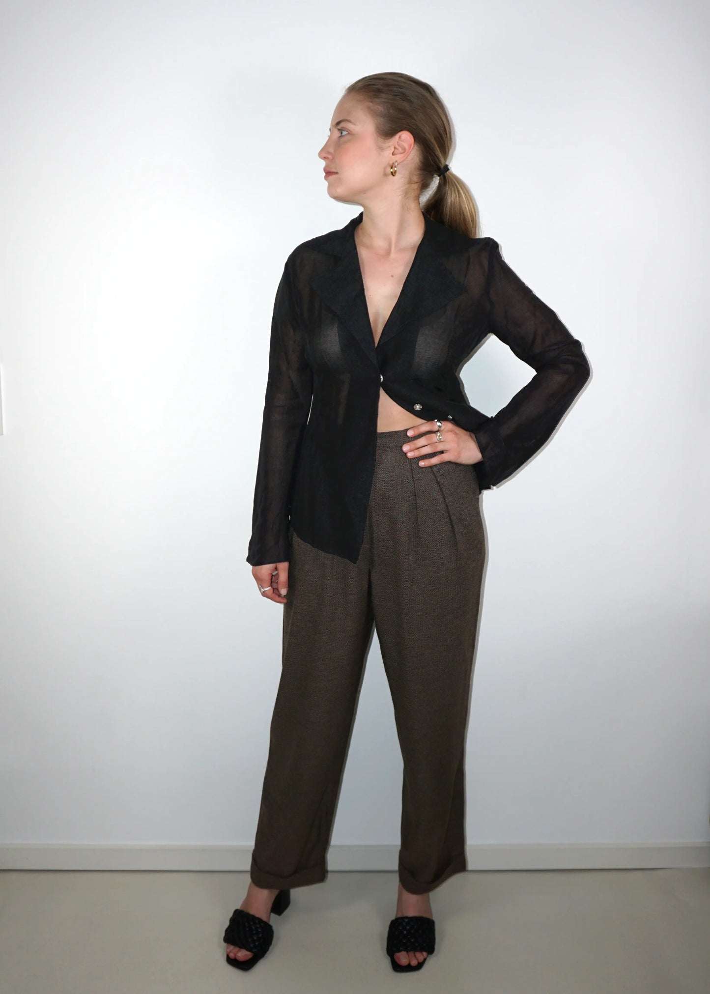 Fitted Sheer Blouse