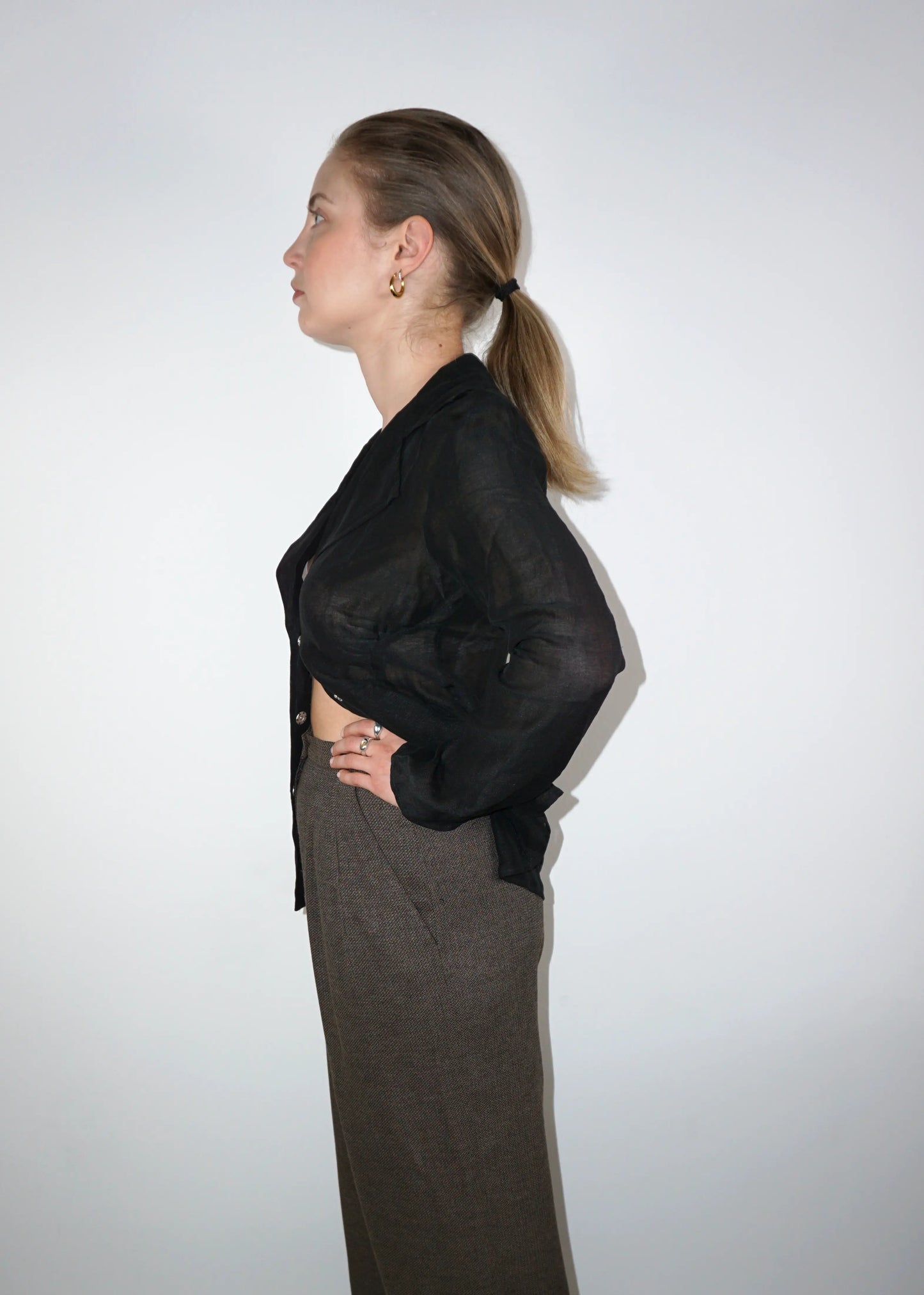 Fitted Sheer Blouse