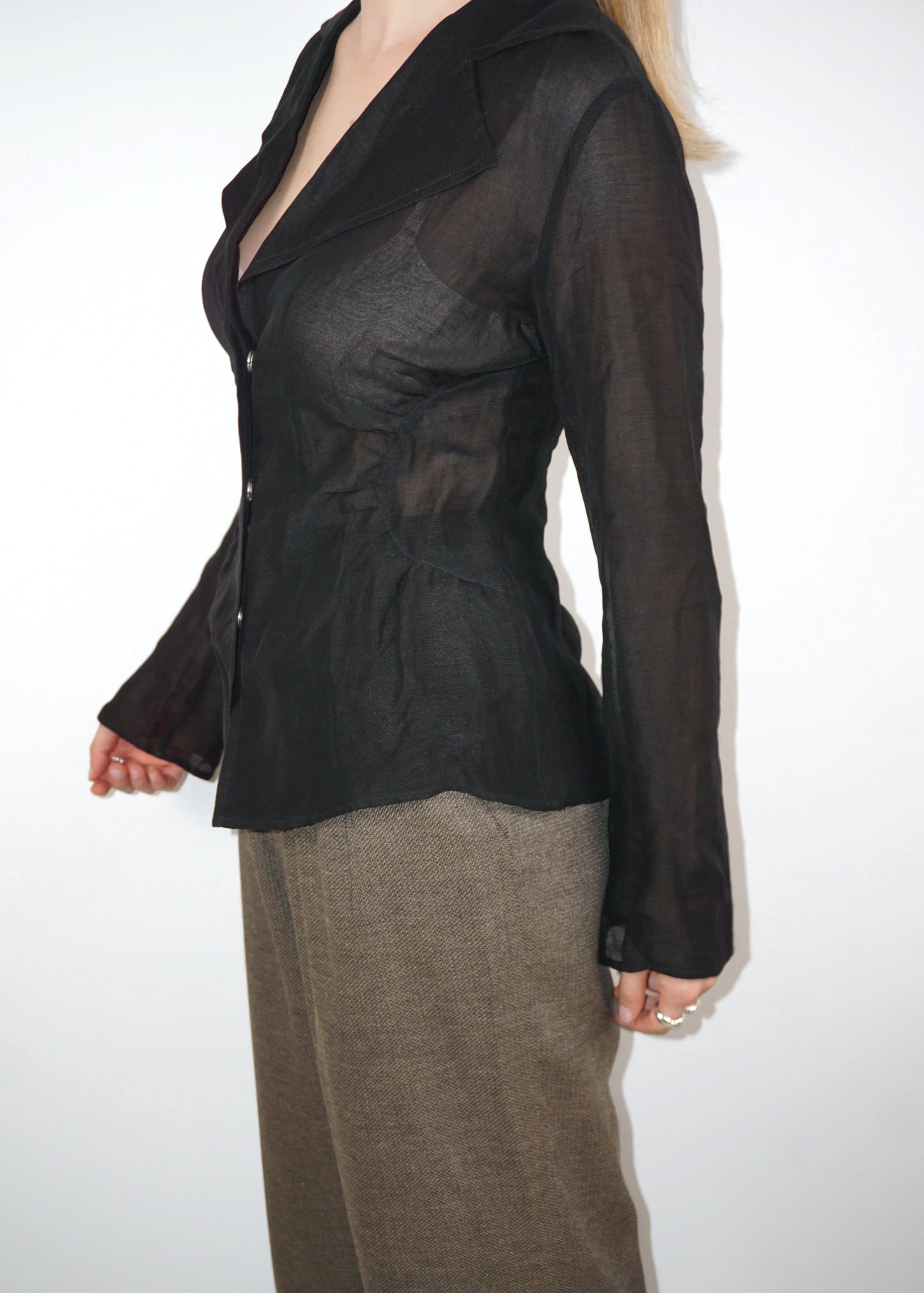 Fitted Sheer Blouse