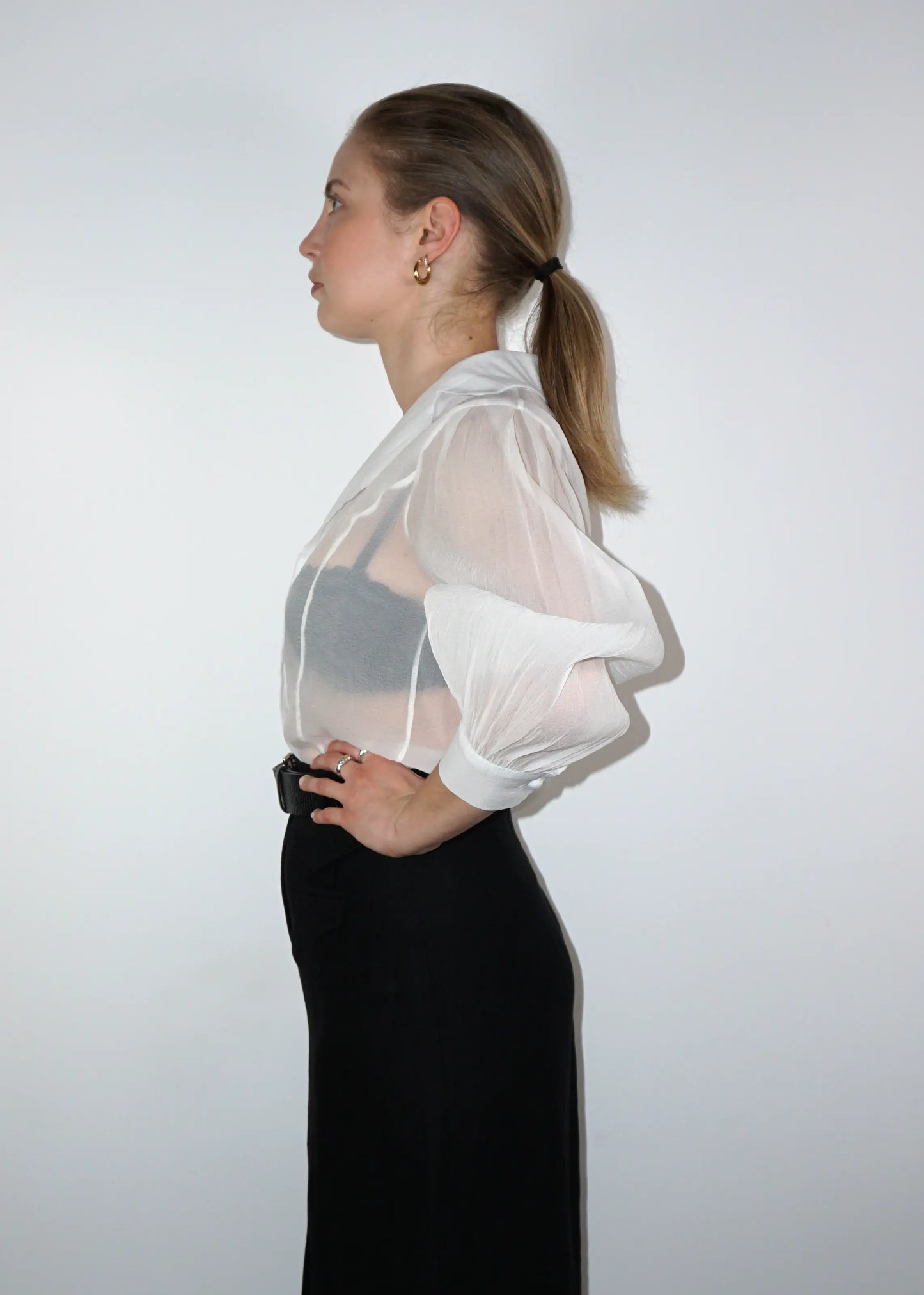 Sheer Structured Blouse with Sculpted Sleeves
